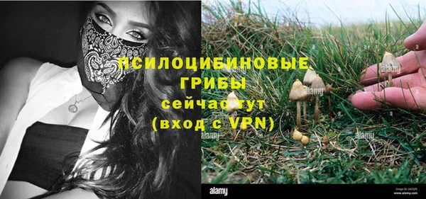 a pvp Горно-Алтайск