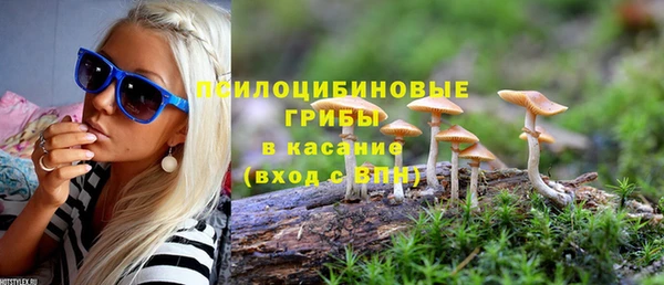 ECSTASY Алексеевка